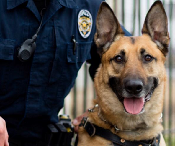 K9 Aldo - Unified Police Department, Utah - Memorials to Fallen K-9's