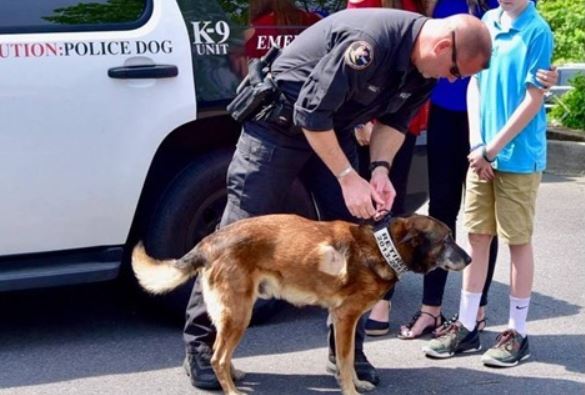 K9 Arco - Little Rock, Arkansas - Memorials to Fallen K-9's