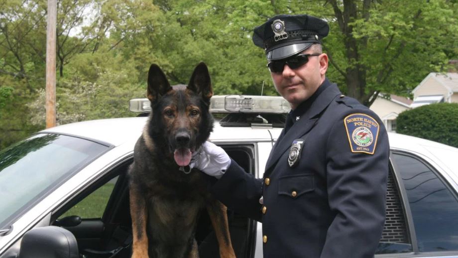 K9 Zeus North Haven Connecticut Memorials To Fallen K 9s