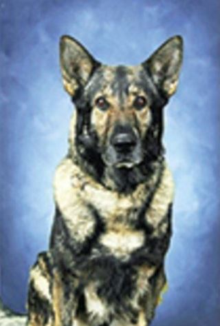 K9 Camo - Indiana State Police - Memorials to Fallen K-9's