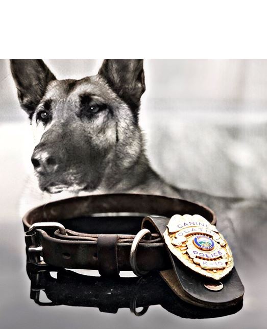 kansas k9 lol